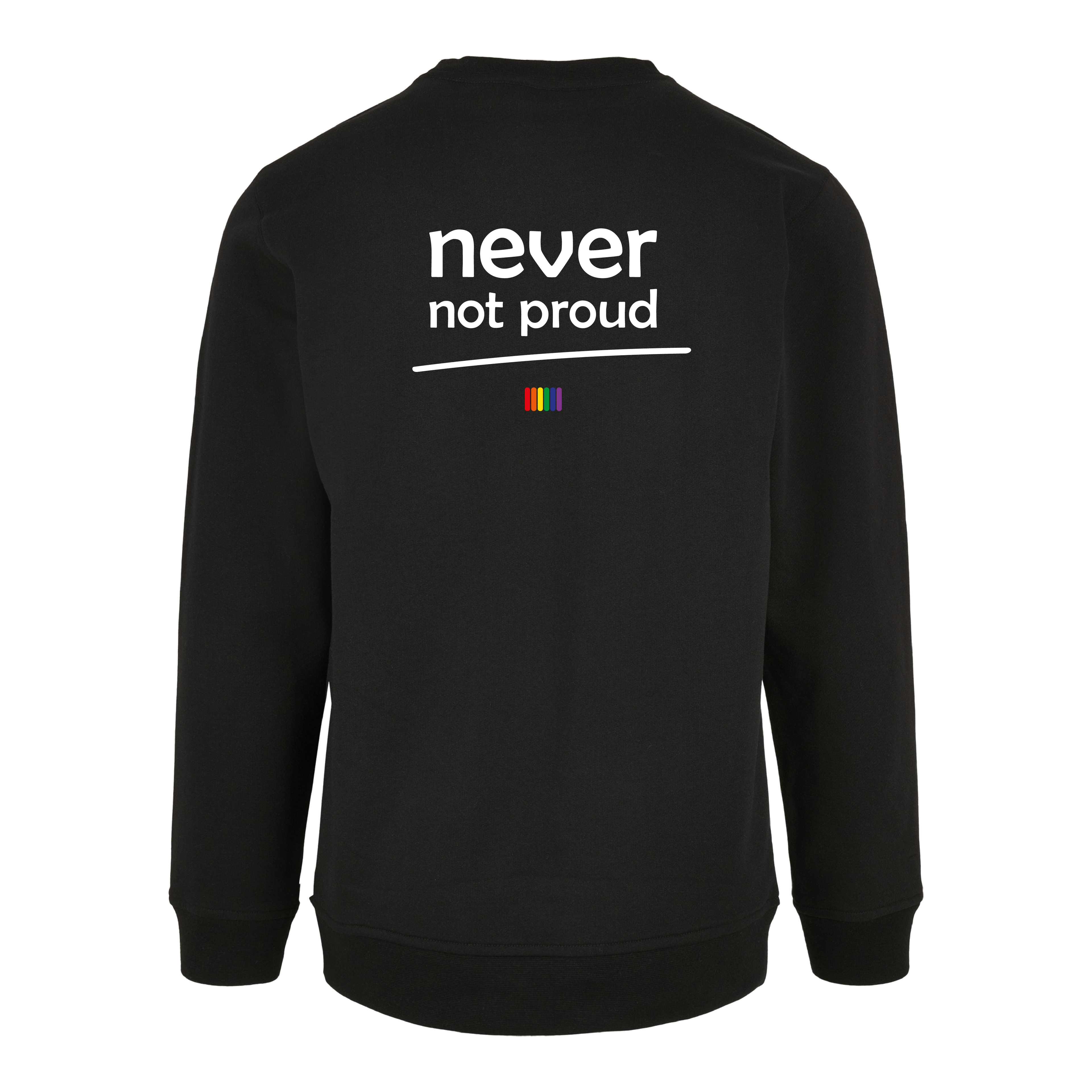 Pullover „Never Not Proud" von Chaoss, Rückansicht mit Statement
